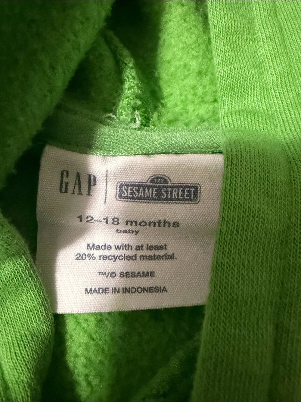 GAP Bright Green Kids Sesame Street Pullover Hoodie